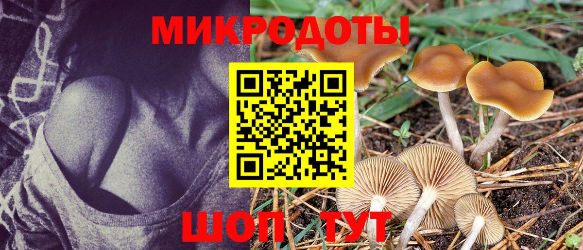 Назарово  Псилоцибиновые грибы прущие грибы  Вход с VPN 